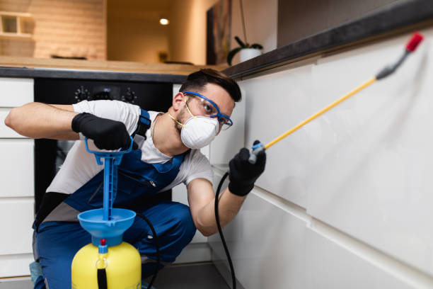 Best Pest Removal Services  in Berrien Springs, MI