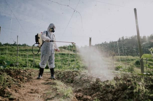 Best Best Pest Control Companies  in Berrien Springs, MI