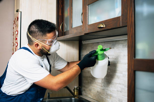 Best Pest Control Near Me  in Berrien Springs, MI