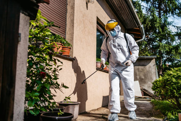 Best Ant Control Services  in Berrien Springs, MI