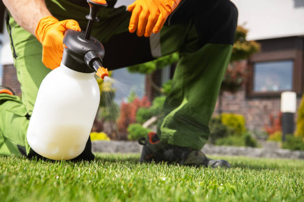 Best Spider Control Near Me  in Berrien Springs, MI