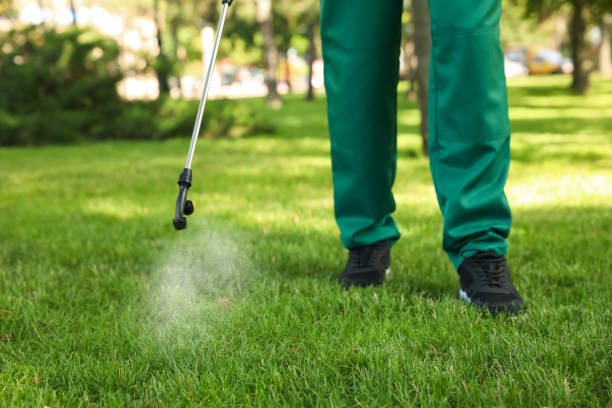 Trusted Berrien Springs, MI Pest Control Experts