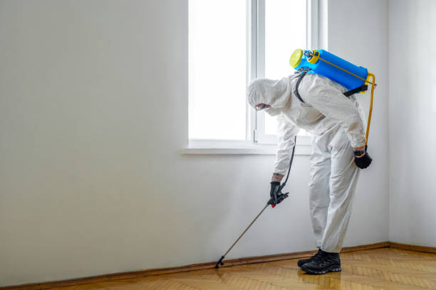 Best Mosquito Control Services  in Berrien Springs, MI