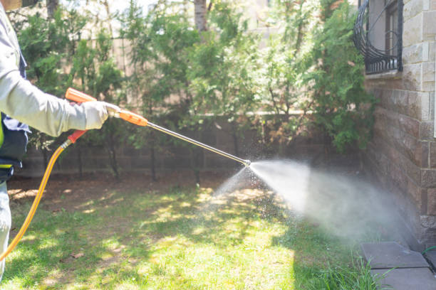 Best Affordable Pest Control Services  in Berrien Springs, MI