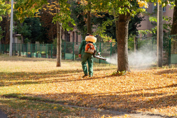 Best Pest Inspection Near Me  in Berrien Springs, MI